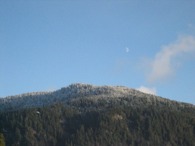 Img_2256.jpg