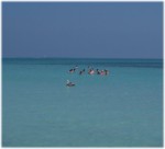 100_1074.jpg