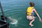 alc53