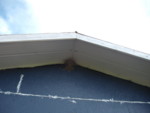 DSCF0914.JPG