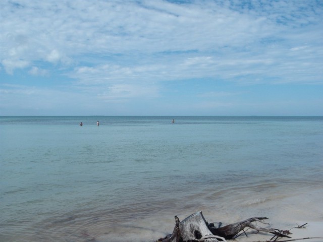 Dscf1232.jpg