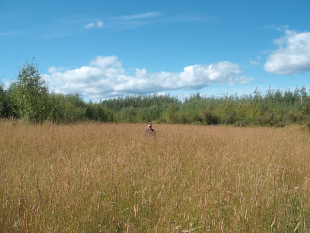 DSCF2757.JPG