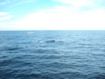 DSCF2831.JPG
