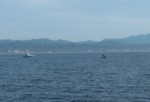 Dscf2821.jpg