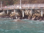DSCF3126.JPG