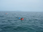 DSCF3131.JPG