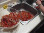 shrimp